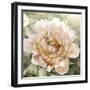 Solo I-Shawna Sullivan-Framed Art Print