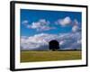 Solo Oak Tree-Charles Bowman-Framed Photographic Print