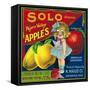 Solo Pajaro Valley Brand Apple Label, Watsonville, California-Lantern Press-Framed Stretched Canvas