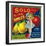 Solo Pajaro Valley Brand Apple Label, Watsonville, California-Lantern Press-Framed Art Print