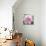 Solo Pink I-Shawna Sullivan-Art Print displayed on a wall