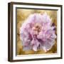 Solo Pink on Gold II-Shawna Sullivan-Framed Art Print