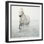 Solo Surf-Irene Suchocki-Framed Giclee Print