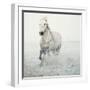 Solo Surf-Irene Suchocki-Framed Giclee Print