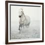 Solo Surf-Irene Suchocki-Framed Giclee Print