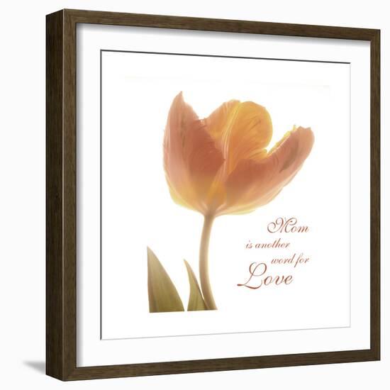 Solo Tulip Colored-Albert Koetsier-Framed Premium Giclee Print