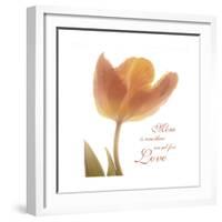 Solo Tulip Colored-Albert Koetsier-Framed Premium Giclee Print