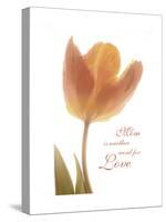 Solo Tulip Colored-Albert Koetsier-Stretched Canvas