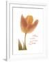 Solo Tulip Colored-Albert Koetsier-Framed Premium Giclee Print