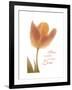 Solo Tulip Colored-Albert Koetsier-Framed Premium Giclee Print