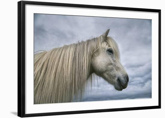 Solo-Andreas Stridsberg-Framed Giclee Print