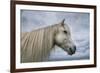 Solo-Andreas Stridsberg-Framed Giclee Print