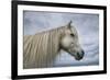 Solo-Andreas Stridsberg-Framed Giclee Print