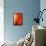 Solo-Ursula Abresch-Framed Stretched Canvas displayed on a wall