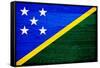 Solomon Islands Flag Design with Wood Patterning - Flags of the World Series-Philippe Hugonnard-Framed Stretched Canvas