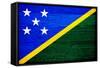 Solomon Islands Flag Design with Wood Patterning - Flags of the World Series-Philippe Hugonnard-Framed Stretched Canvas