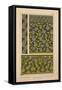 Solomon's Seal-null-Framed Stretched Canvas