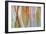 Solomons Seal 2-Don Paulson-Framed Giclee Print