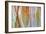 Solomons Seal 2-Don Paulson-Framed Giclee Print