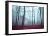 Solstice in Fog-Dirk Wuestenhagen-Framed Art Print