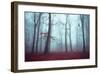 Solstice in Fog-Dirk Wuestenhagen-Framed Art Print