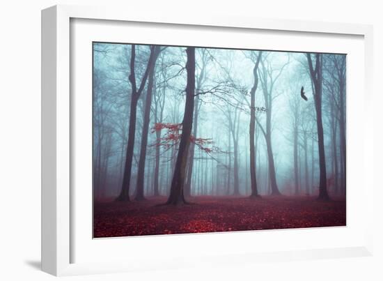 Solstice in Fog-Dirk Wuestenhagen-Framed Art Print