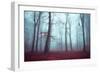 Solstice in Fog-Dirk Wuestenhagen-Framed Art Print