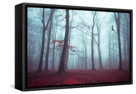 Solstice in Fog-Dirk Wuestenhagen-Framed Stretched Canvas