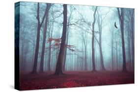 Solstice in Fog-Dirk Wuestenhagen-Stretched Canvas