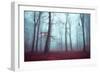 Solstice in Fog-Dirk Wuestenhagen-Framed Premium Giclee Print