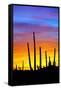 Solstice Sunset-Douglas Taylor-Framed Stretched Canvas