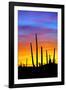 Solstice Sunset-Douglas Taylor-Framed Photographic Print