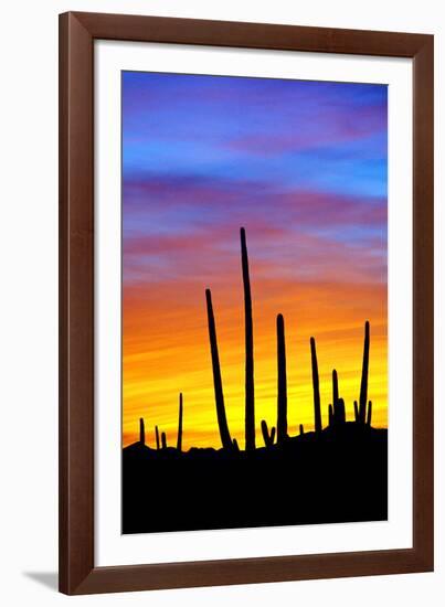 Solstice Sunset-Douglas Taylor-Framed Photographic Print