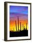 Solstice Sunset-Douglas Taylor-Framed Photographic Print