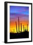 Solstice Sunset-Douglas Taylor-Framed Photographic Print