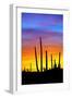 Solstice Sunset-Douglas Taylor-Framed Photographic Print