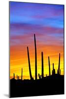 Solstice Sunset-Douglas Taylor-Mounted Photographic Print