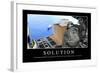 Solutions: Citation Et Affiche D'Inspiration Et Motivation-null-Framed Photographic Print