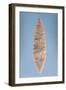 Solutrean "Laurel Leaf" Blade, Found at Volgu, 20000-15000 BC-Paleolithic-Framed Giclee Print