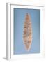 Solutrean "Laurel Leaf" Blade, Found at Volgu, 20000-15000 BC-Paleolithic-Framed Giclee Print