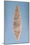 Solutrean "Laurel Leaf" Blade, Found at Volgu, 20000-15000 BC-Paleolithic-Mounted Giclee Print