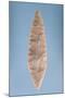 Solutrean "Laurel Leaf" Blade, Found at Volgu, 20000-15000 BC-Paleolithic-Mounted Giclee Print