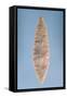 Solutrean "Laurel Leaf" Blade, Found at Volgu, 20000-15000 BC-Paleolithic-Framed Stretched Canvas