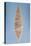 Solutrean "Laurel Leaf" Blade, Found at Volgu, 20000-15000 BC-Paleolithic-Stretched Canvas