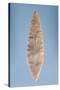 Solutrean "Laurel Leaf" Blade, Found at Volgu, 20000-15000 BC-Paleolithic-Stretched Canvas