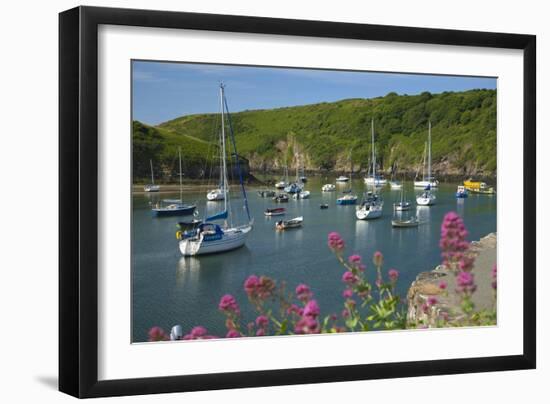 Solva Harbour, Pembrokeshire, Wales, United Kingdom, Europe-Billy Stock-Framed Photographic Print