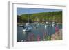 Solva Harbour, Pembrokeshire, Wales, United Kingdom, Europe-Billy Stock-Framed Photographic Print