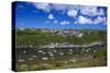 Solva Harbour, Pembrokeshire, Wales, United Kingdom-Billy Stock-Stretched Canvas