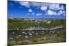 Solva Harbour, Pembrokeshire, Wales, United Kingdom-Billy Stock-Mounted Photographic Print