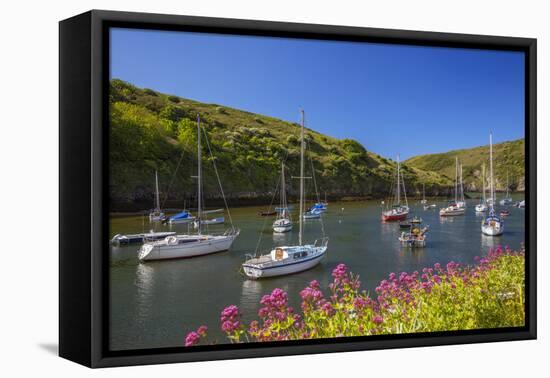 Solva Harbour, Pembrokeshire, Wales, United Kingdom-Billy Stock-Framed Stretched Canvas